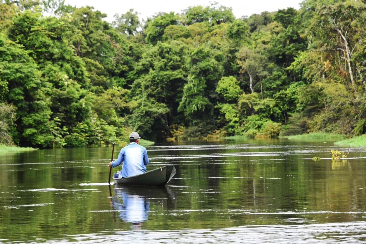 Only six months into Bolsonaro’s government, the Amazon is already in decline