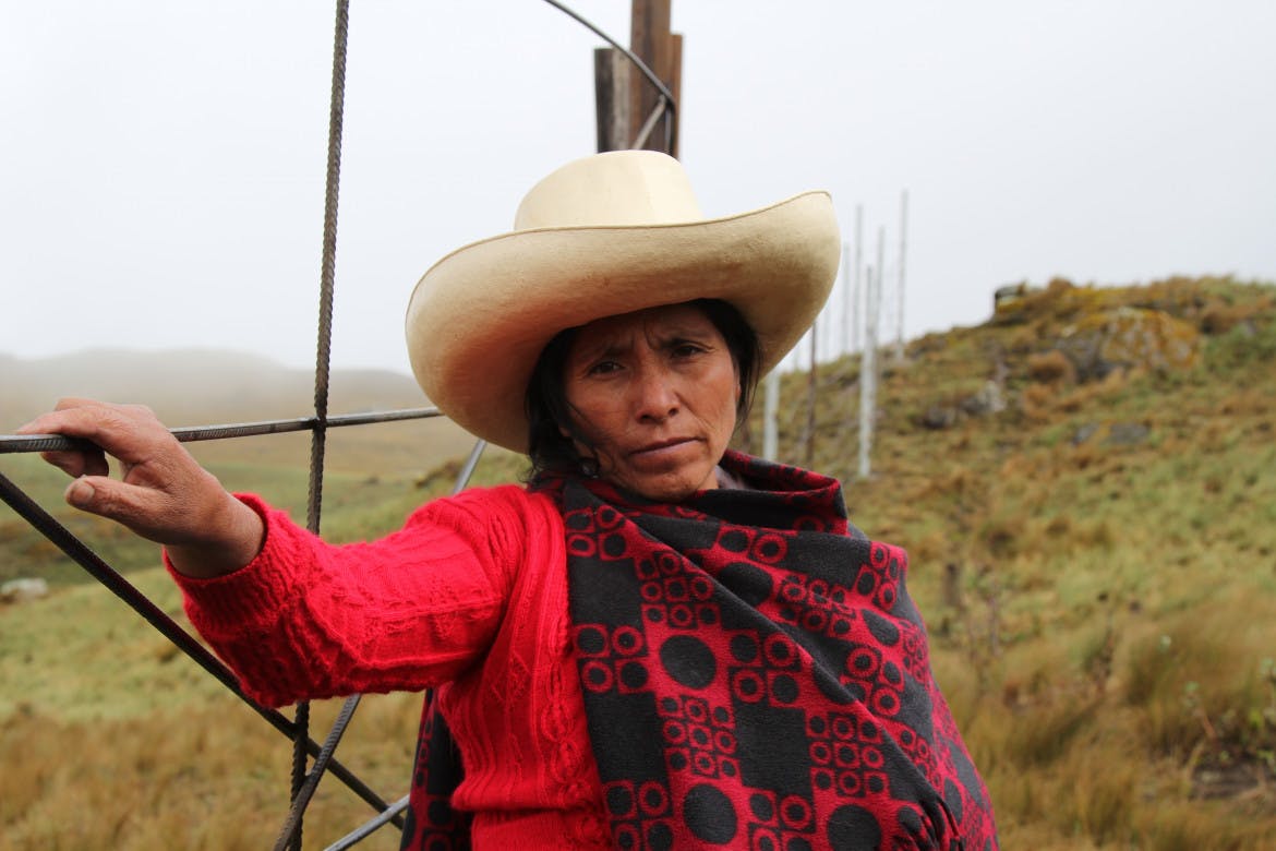 Another small victory for Gioia Maxima, the Peruvian woman standing up to Goliath