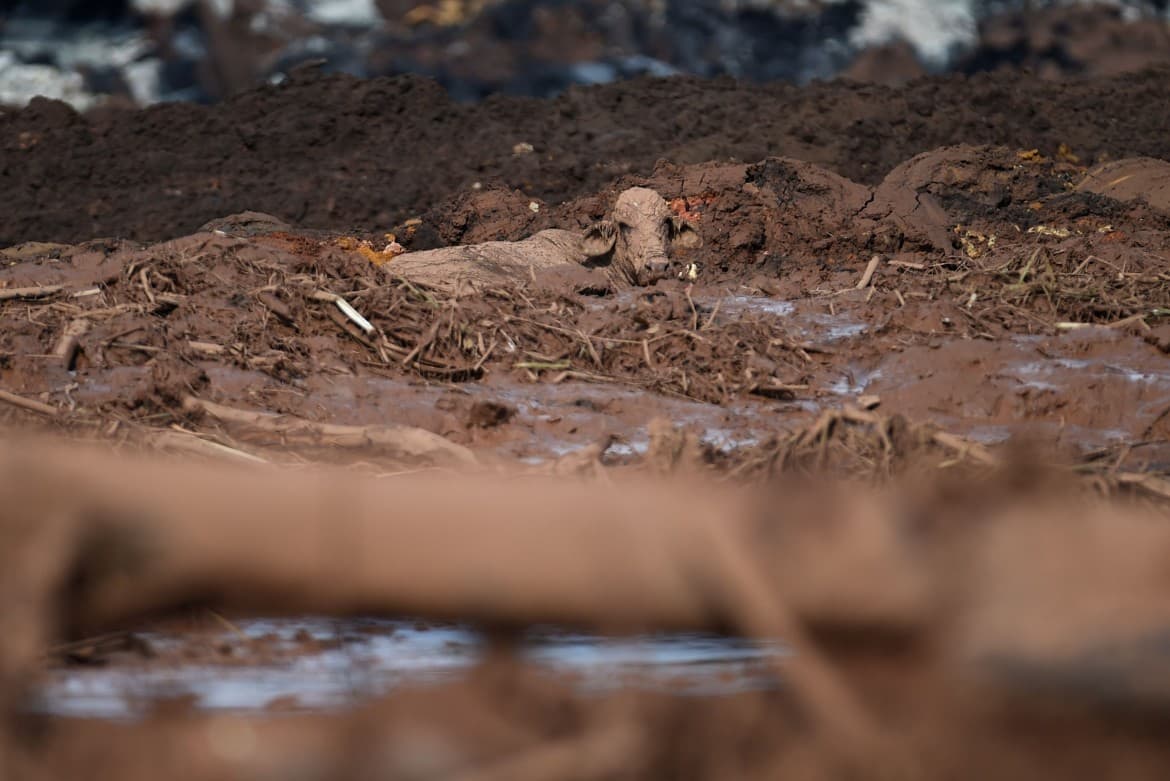 Extractive capitalism unleashes another massacre on Brazilians