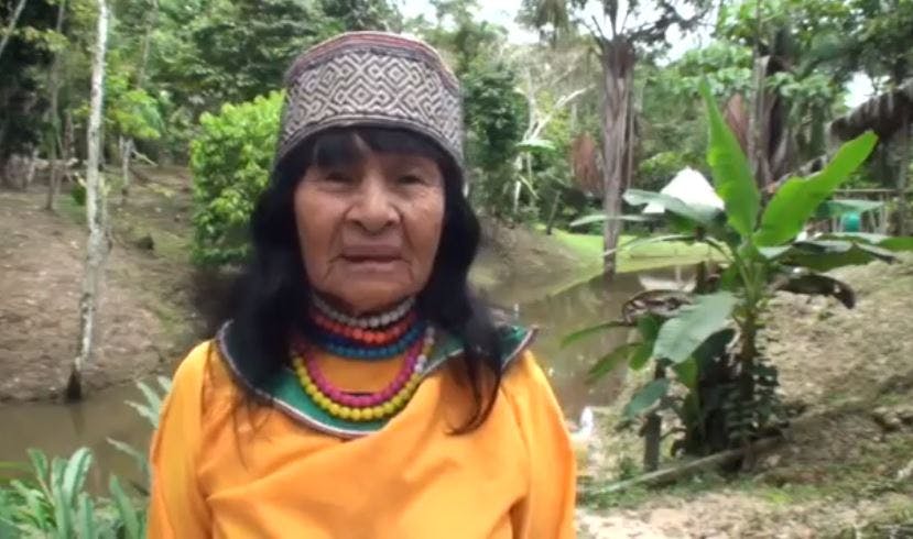 Latin America loses another indigenous environmental leader