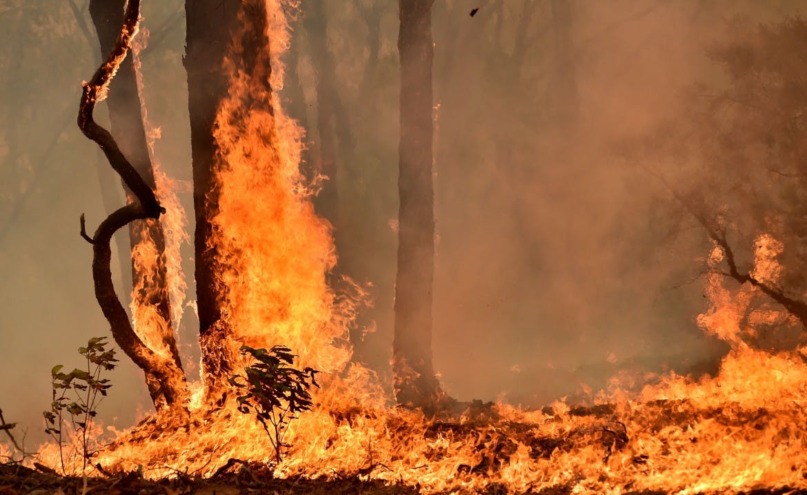 image of fire in australia