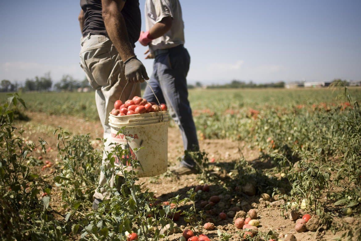 migrant workers