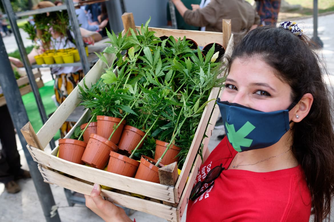 Malta becomes the first EU country to legalize cannabis