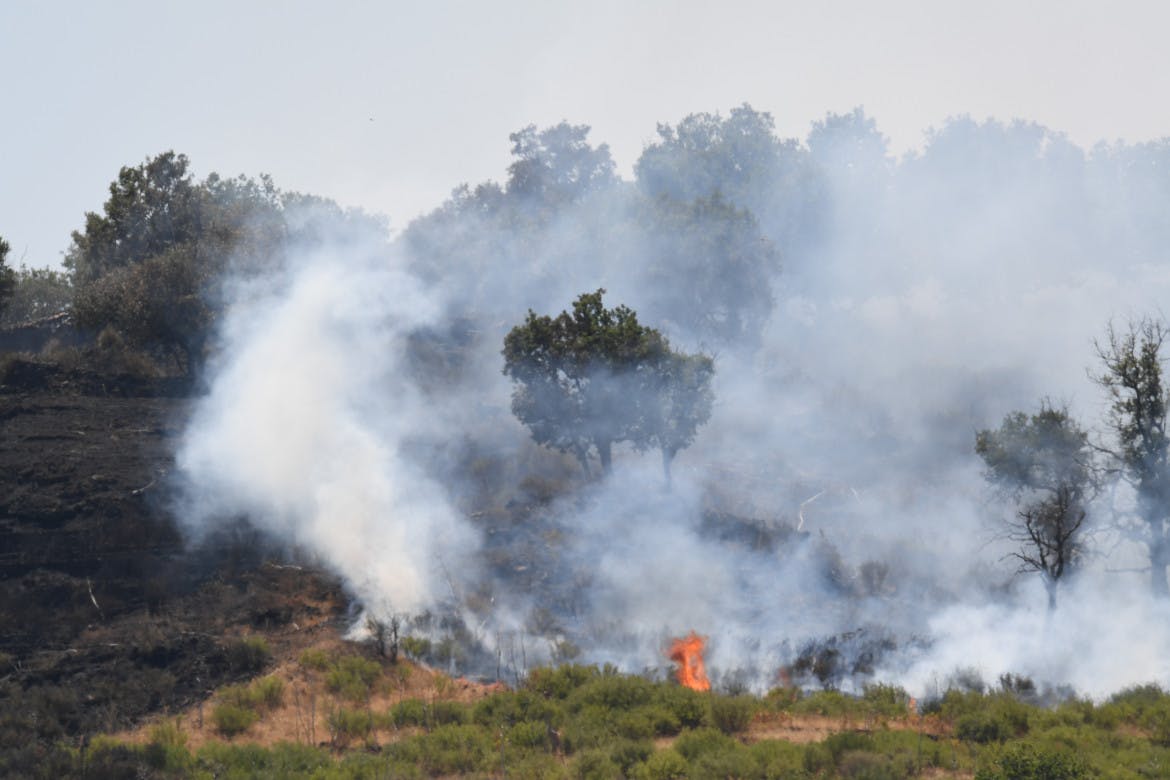Fires are destroying Italian green spaces, and it’s becoming more frequent