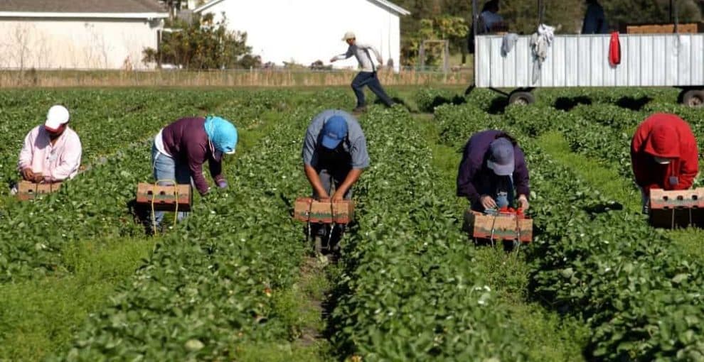 A law to protect laborers from the heat ignores precarious and gig work