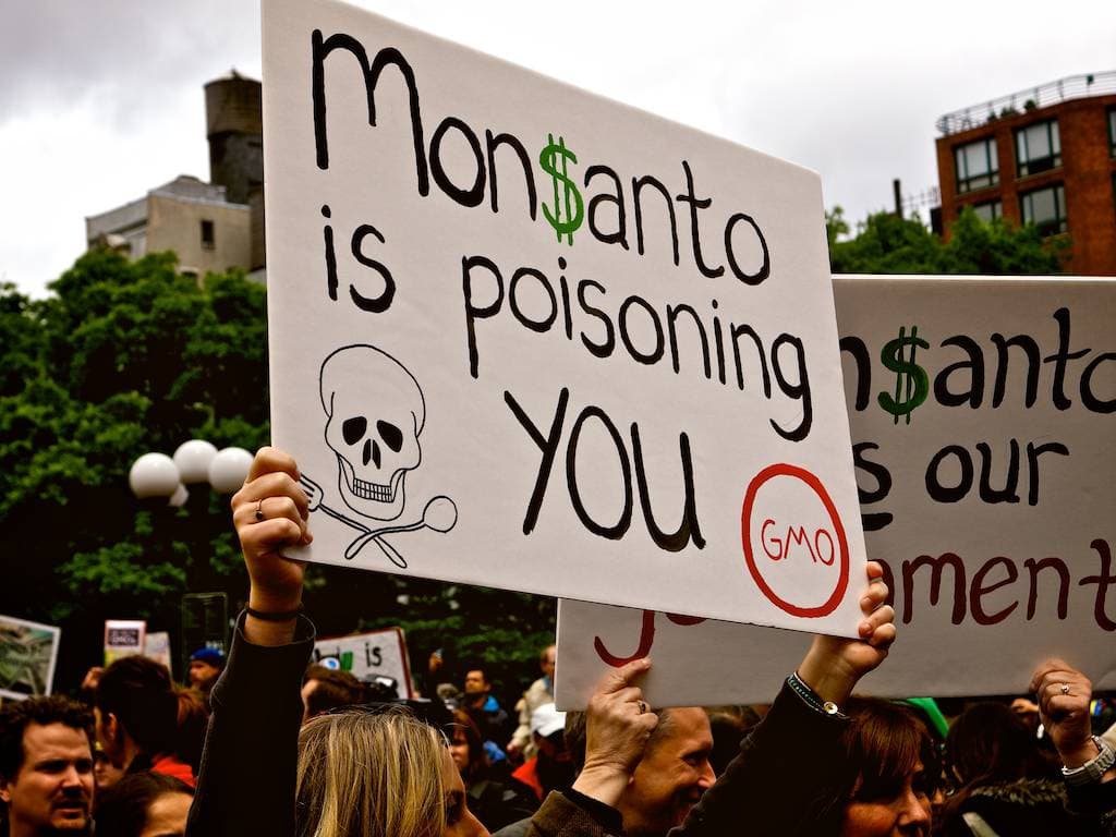 Bayer Monsanto