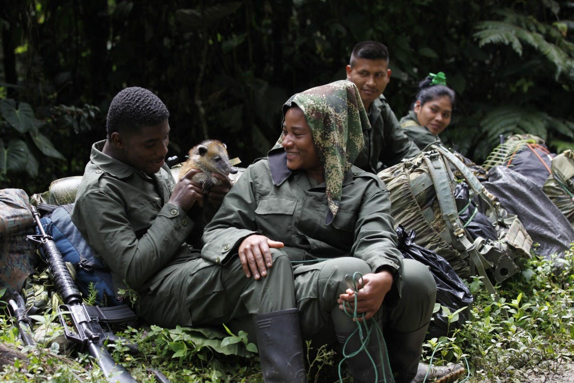 A Colombian guerrilla murdered, a country without peace