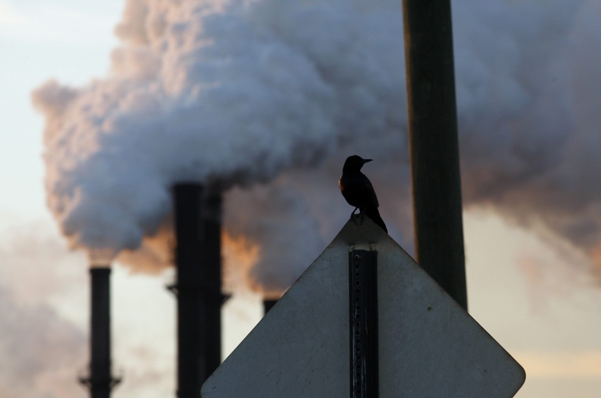 UN: Environmental damage causes 25% of all death and disease