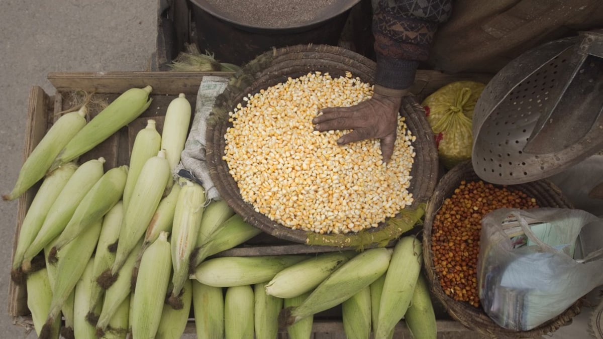 Will 2016 usher a new environmental paradigm?