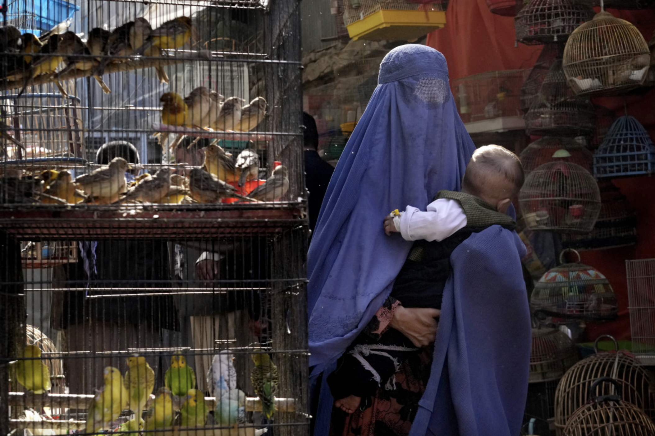 Afghan women weigh their options after Taliban burqa edict