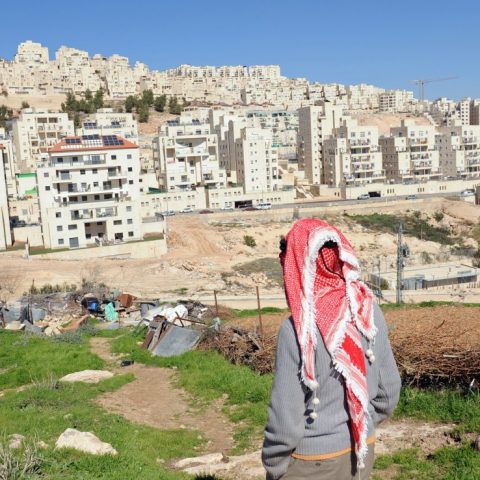 image of palestine
