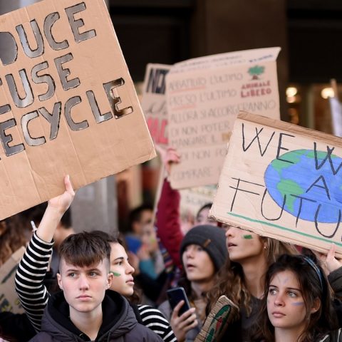 image of fridays for future protest